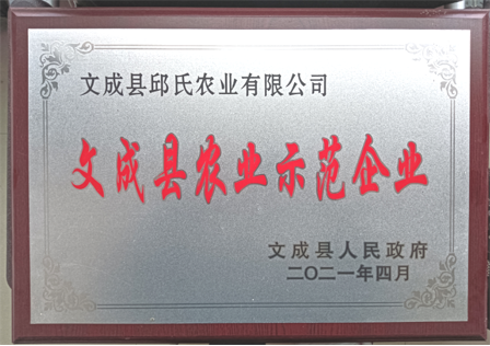 荣誉证书